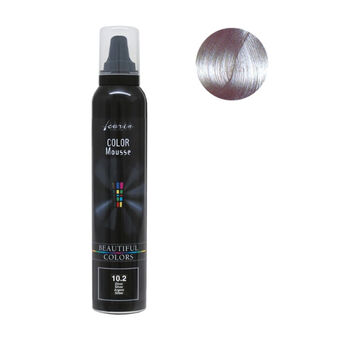 Mousse colorante Color Mousse argent 10.2